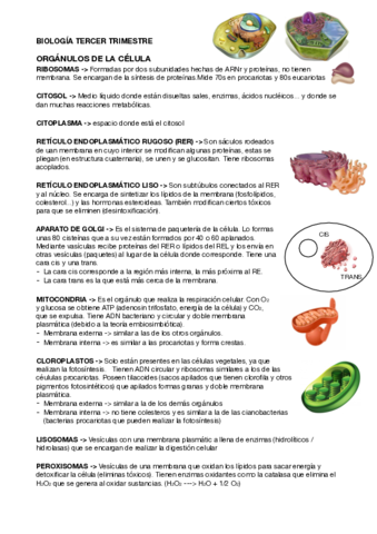 BIO-CELULA-RESUMENES.pdf