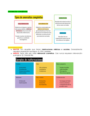 ANOMALIAS-CONGENITAS.pdf