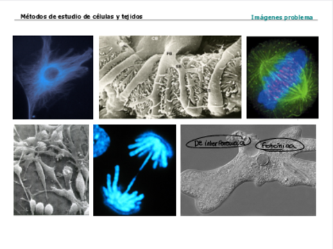 2a-TG-Imagenes-problema.pdf