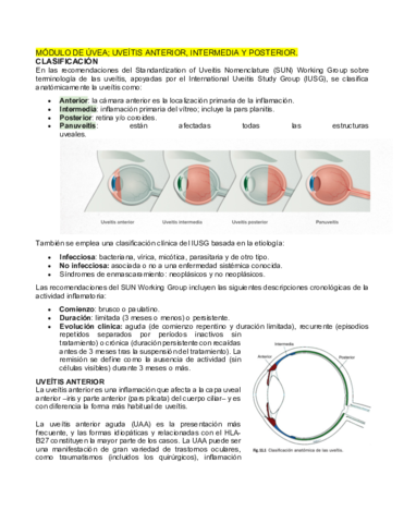 MODULO-DE-UVEA.pdf