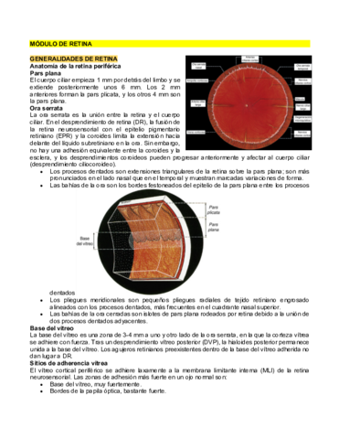 MODULO-DE-RETINA.pdf