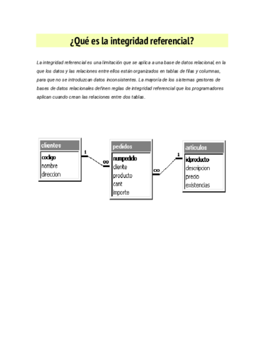 INTEGRIDAD-REFERENCIAL.pdf