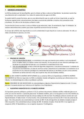 HORMONAS.pdf