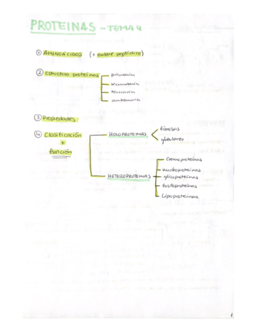 APUNTES-PROTEINAS.pdf