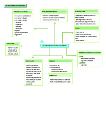 Esquemas-Anatomia-.pdf