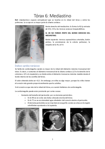 Torax-6-Mediastino.pdf