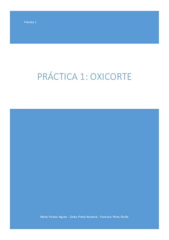 OXICORTE-FABRICACION.pdf