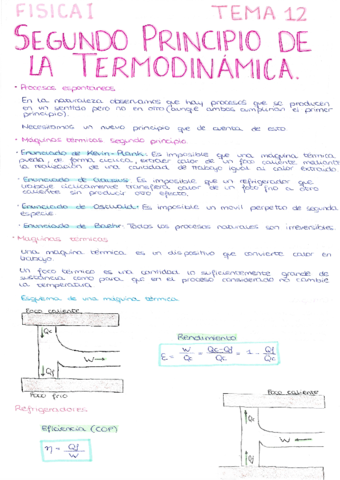 Fisica-I-Tema-12.pdf