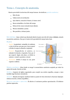 MT1 2 y 3. Anatomía osteología y artrología.pdf
