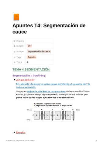 T4Segmentacindecauce.pdf