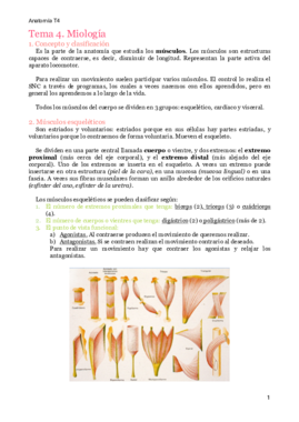 MT4. Miología.pdf