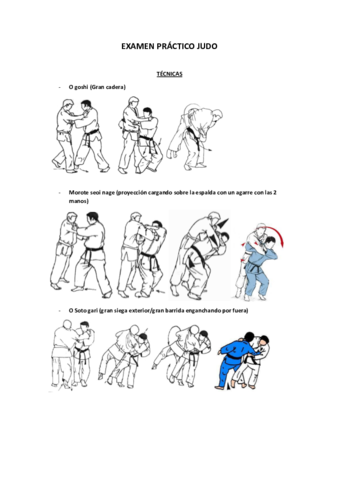 examen-judo-.pdf