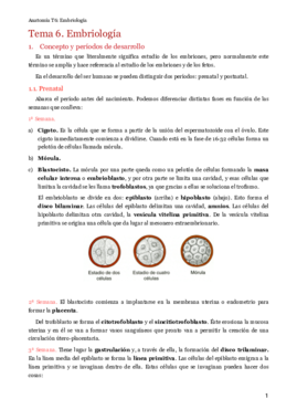 MT6. Embriología.pdf