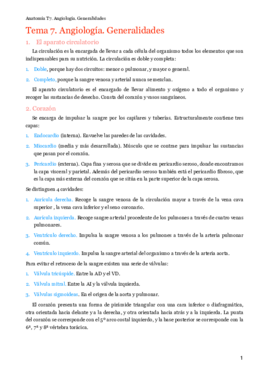 MT7. Angiología. Generalidades.pdf