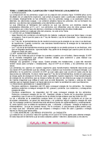TEMARIO-SI.pdf