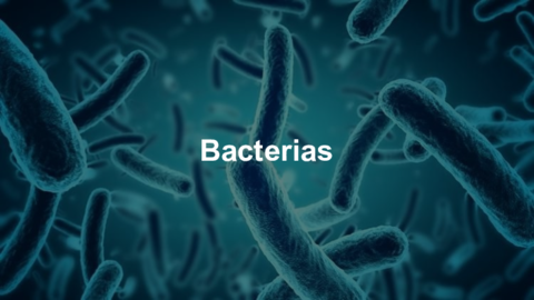 Bacterias.pdf