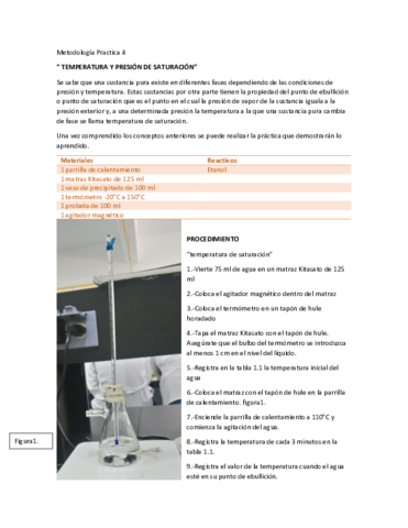 Metodologia-Practica-4.pdf