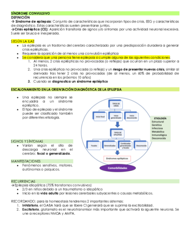 SINDROME-CONVULSIVO.pdf