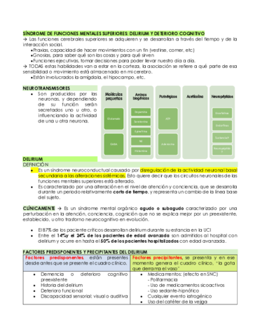SINDROME-DE-FUNCIONES-MENTALES-SUPERIORES.pdf