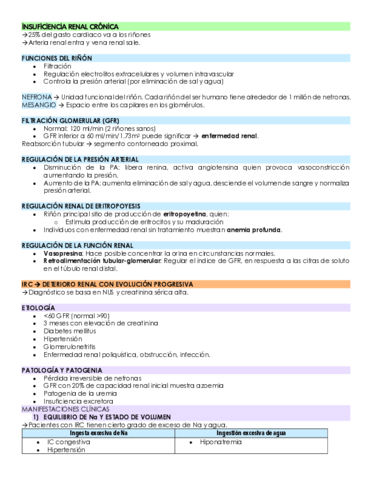 INSUFICIENCIA-RENAL-CRONICA.pdf