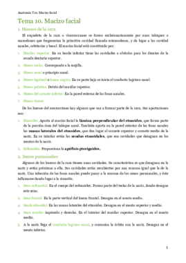 MT10. Macizo facial.pdf