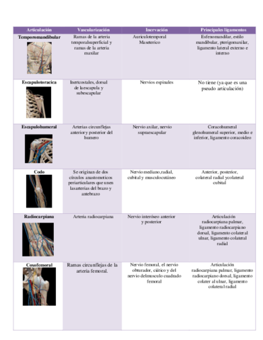 Articulaciones-1.pdf