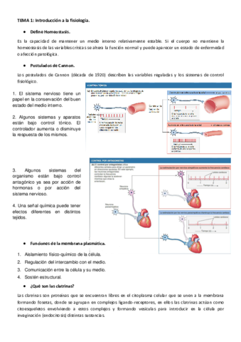 Preguntas-Fisio-Animal.pdf