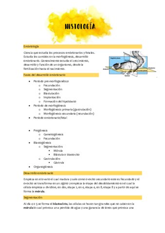 histologia1-3.pdf
