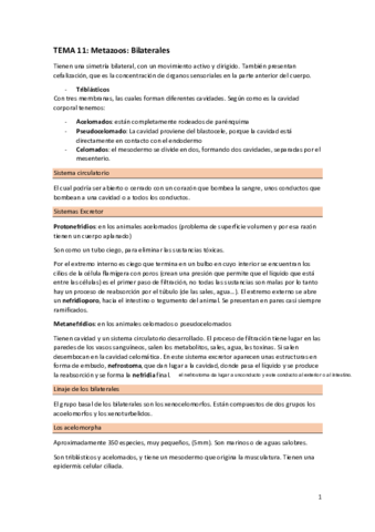 Zoologia-11-21-.pdf