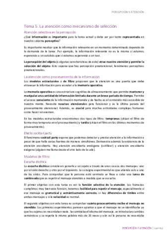 ATENCION-T5.pdf