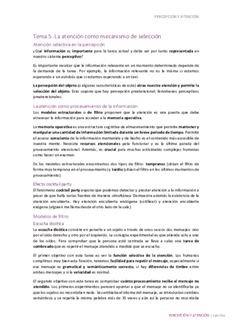 ATENCION-T5.pdf