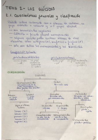 tema-2-los-glucidos.pdf