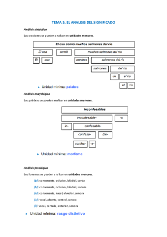 TEMA-5.pdf