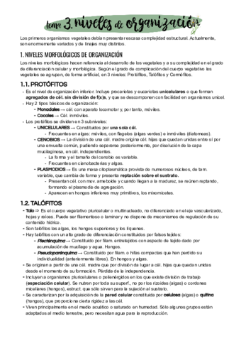 Tema-3.pdf