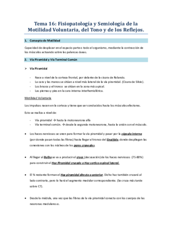 Tema 16.pdf