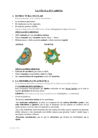 Tema-6.pdf