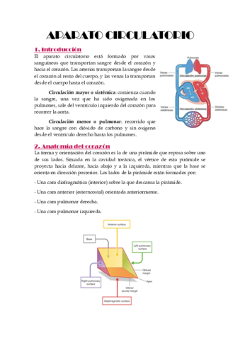 Circulatorio.pdf
