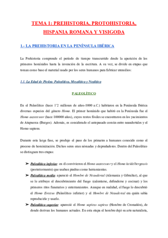 HISTORIA-TEMA-1-RESUMEN.pdf