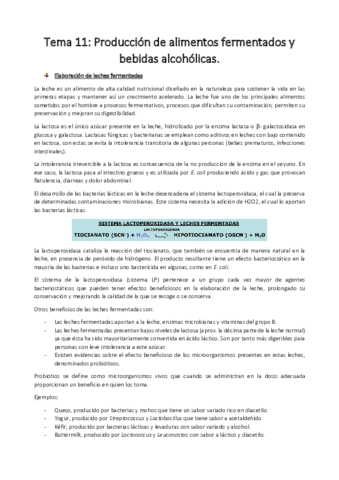 Tema-11.pdf