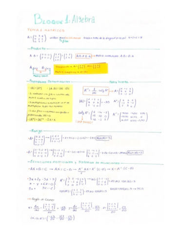 Temas-1-y-2-Matematicas-I.pdf