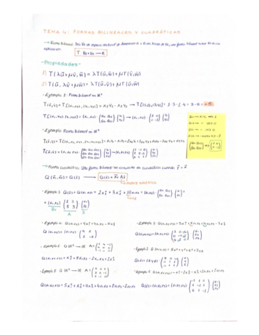 Tema-4-Matematicas-I.pdf