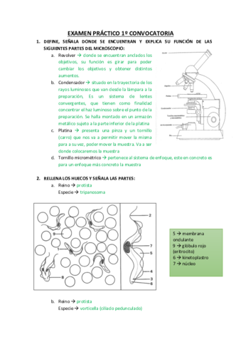 EXAMEN-PRACTICO-1o-CONVOCATORIA.pdf