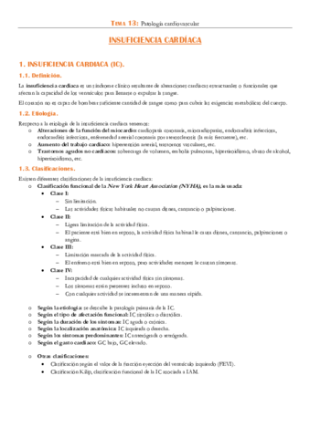 TEMA-13.pdf