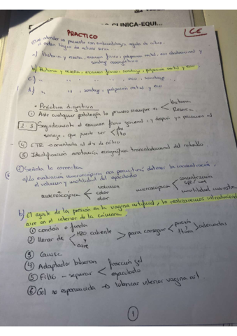 Examen-practico-equino-resuelto.pdf