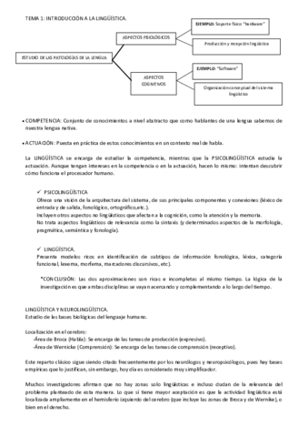 Temario-linguistica-I-resumido.pdf
