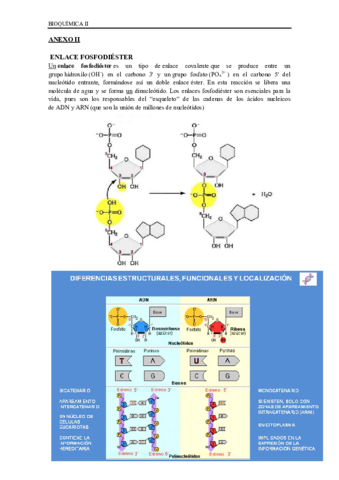anexo-ii-BIOQUIMICA-II.pdf