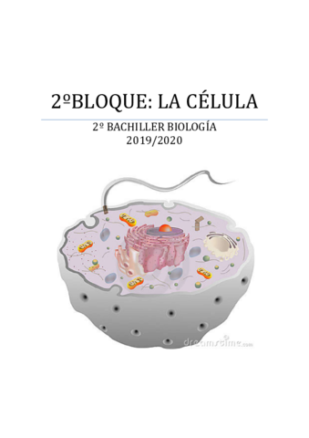 celula-2019-2020.pdf
