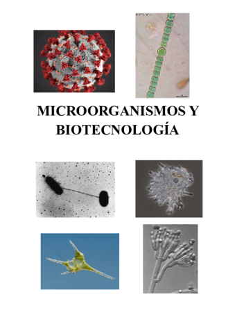 Microsoft-Word-MICROORGANISMOS-y-biotecnologia2020.pdf
