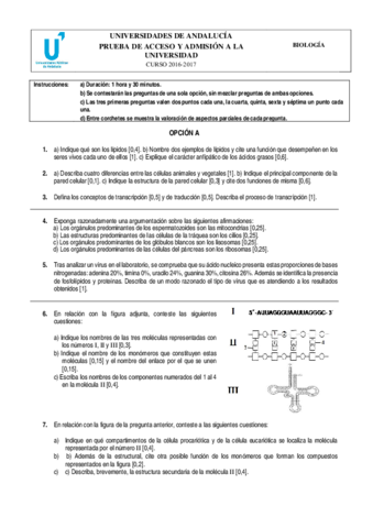 suplementejunioModelo-5-Andalucia-16-17-BIOLOGIA.pdf