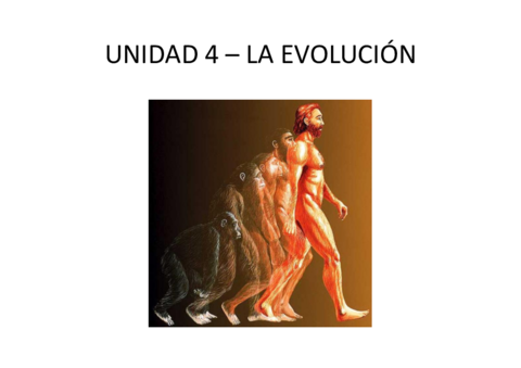 EVOLUCION.pdf
